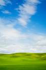 USA-Washington State-Palouse Region-Patterns in the fields of fresh green Spring wheat Art Print